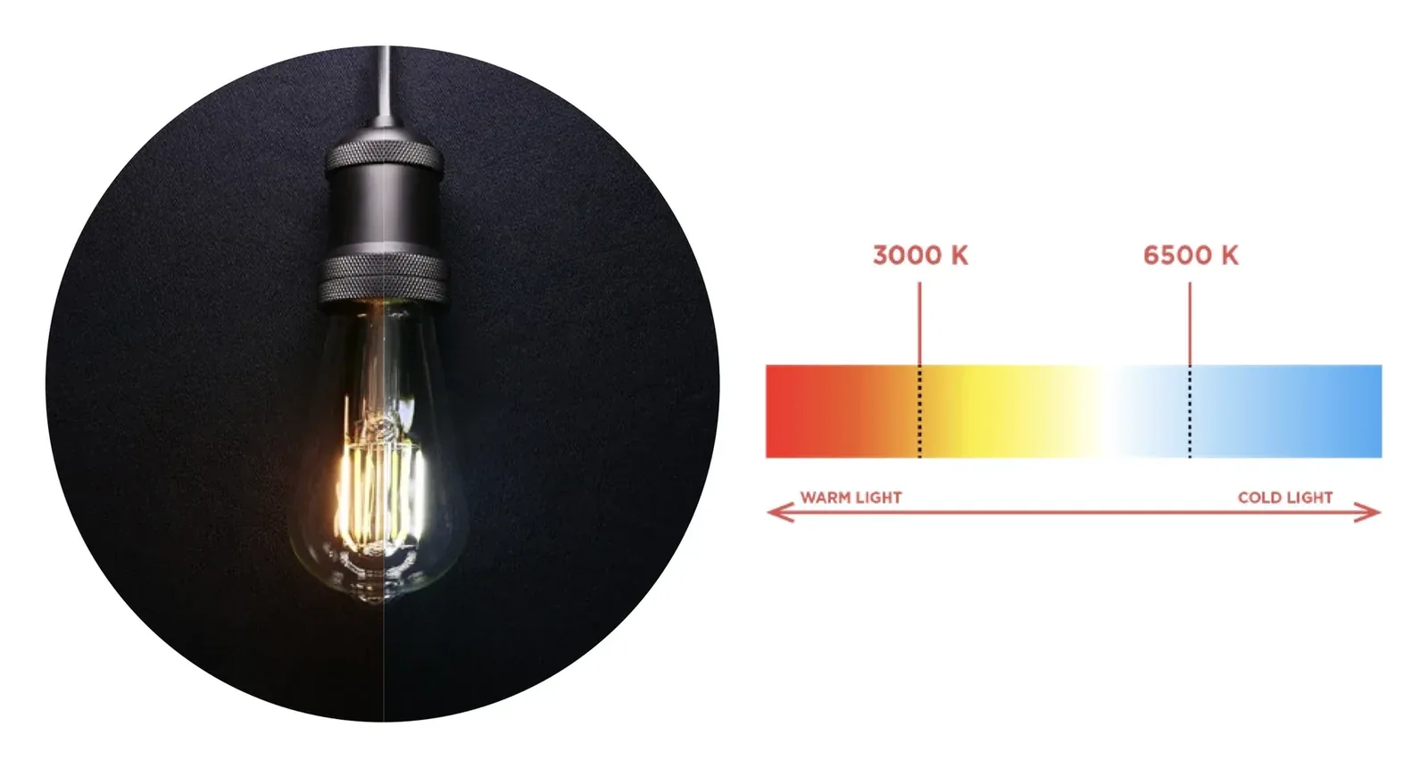 Edison Dual White Bulb next to a colour temperature scale from 3000 K warm to 6500 K cool light