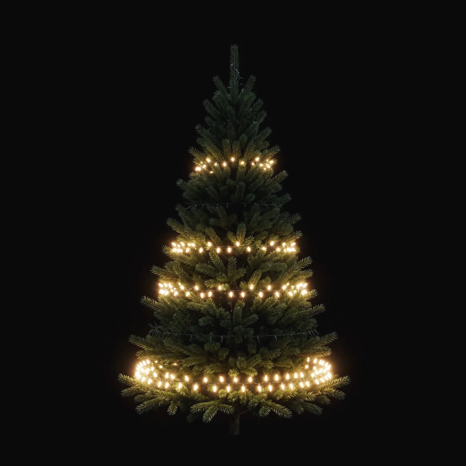 Christmas tree whose rows of lights twinkle in turn and then all come on