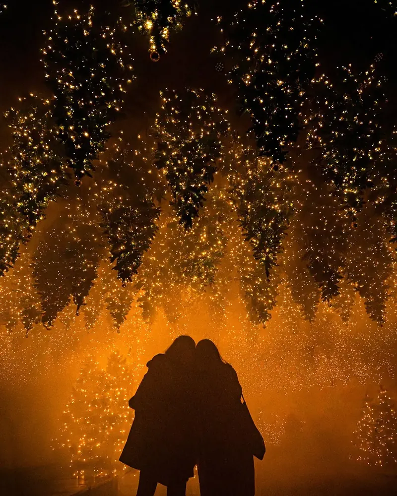 Couple silhouetted under hanging Christmas trees covered in warm white string lights