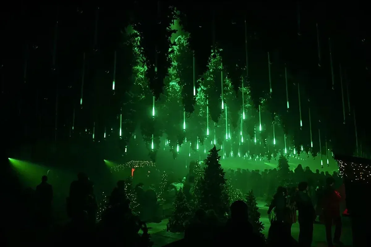 Christmas trees with string lights in green light at a winter festival