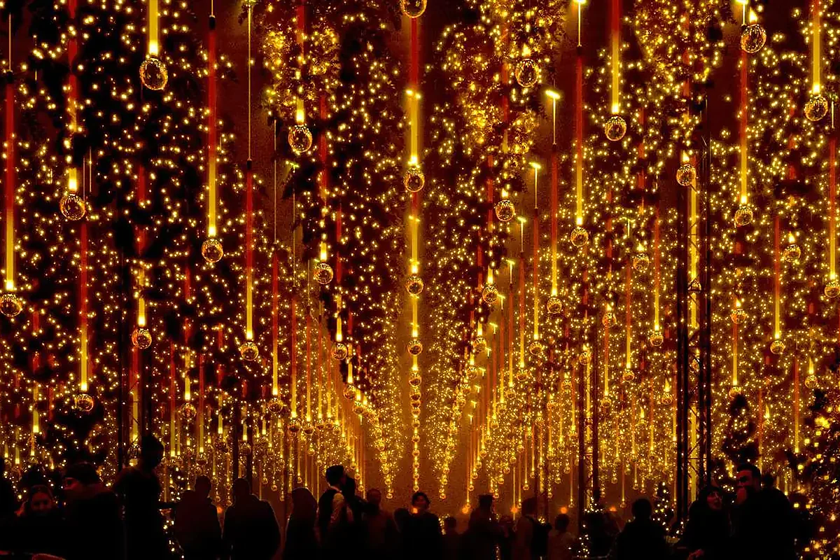 Hanging Christmas trees with string lights at Winterlights, DARK MATTER Berlin
