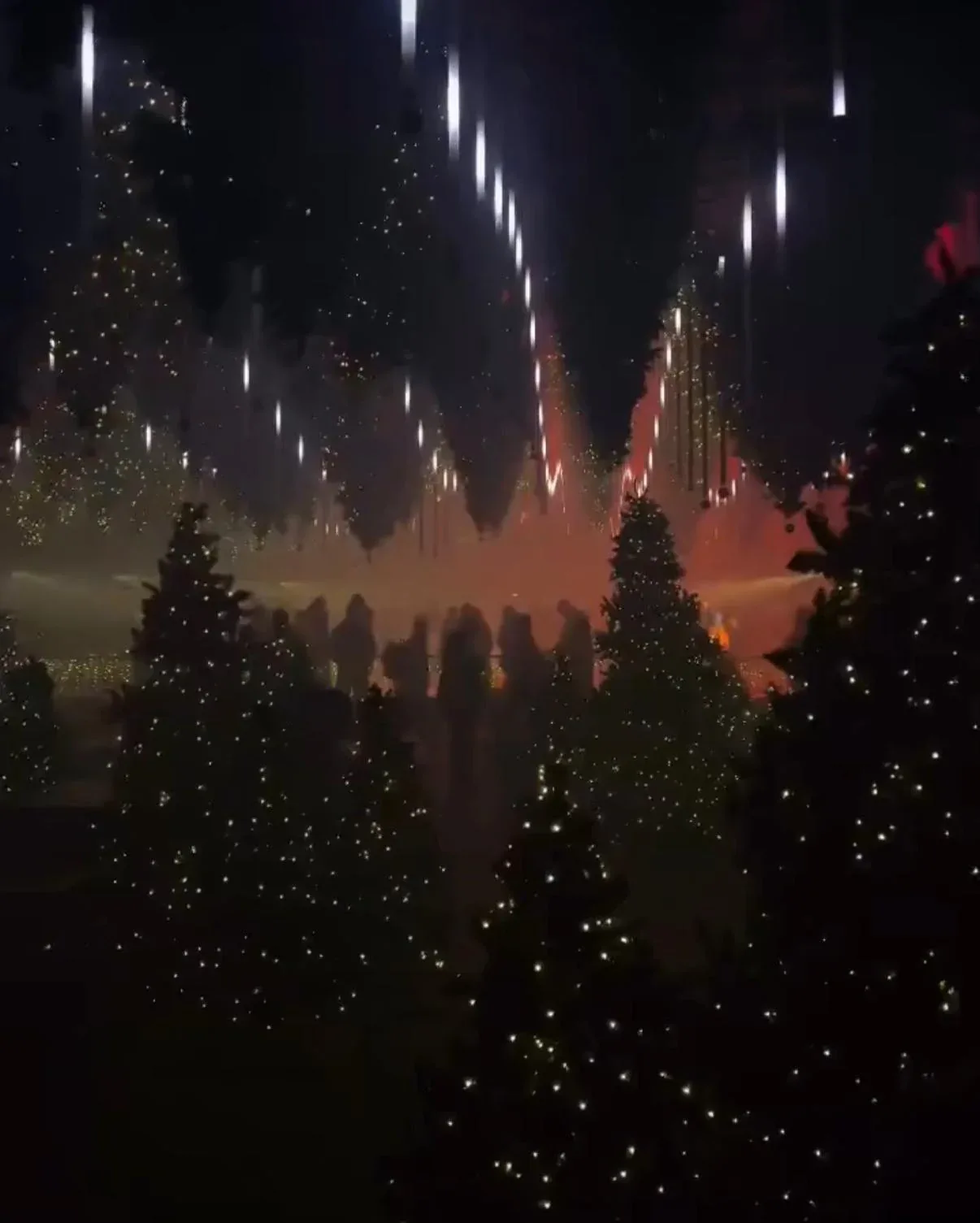 Hanging Christmas trees with string lights above visitors at night, Winterlights, DARK MATTER Berlin