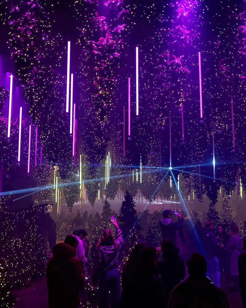 Visitors filming hanging Christmas trees with string lights in a purple scene with beams