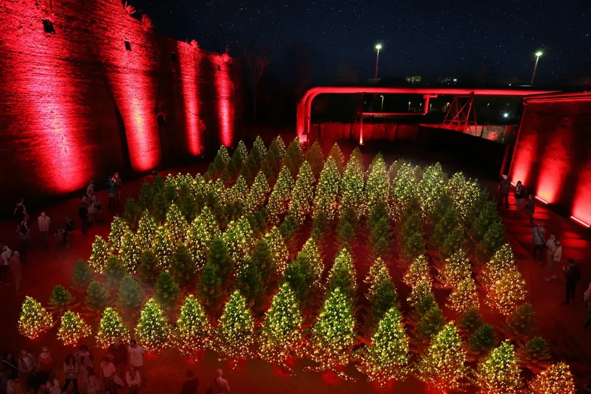 Rows of Christmas trees with warm-white string lights at Winterlights, DARK MATTER Berlin