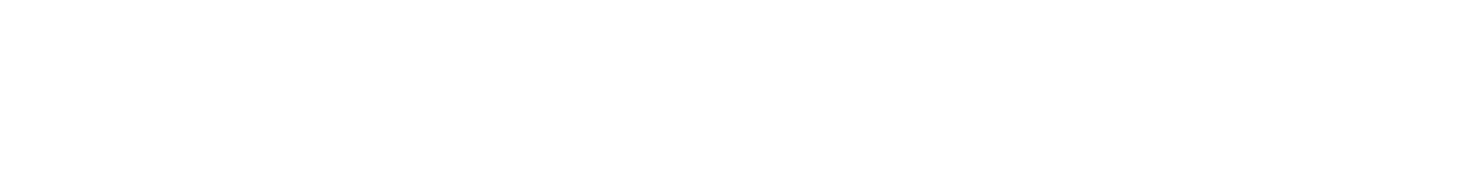 2021-08-lss-logo_lock-up_white.png