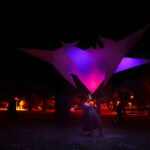Exhibition by Afadrenaline